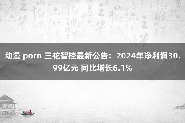动漫 porn 三花智控最新公告：2024年净利润30.99亿元 同比增长6.1%