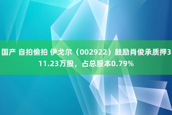 国产 自拍偷拍 伊戈尔（002922）鼓励肖俊承质押311.23万股，占总股本0.79%