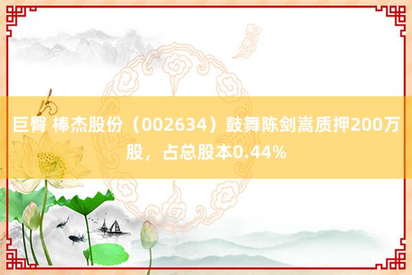 巨臀 棒杰股份（002634）鼓舞陈剑嵩质押200万股，占总股本0.44%