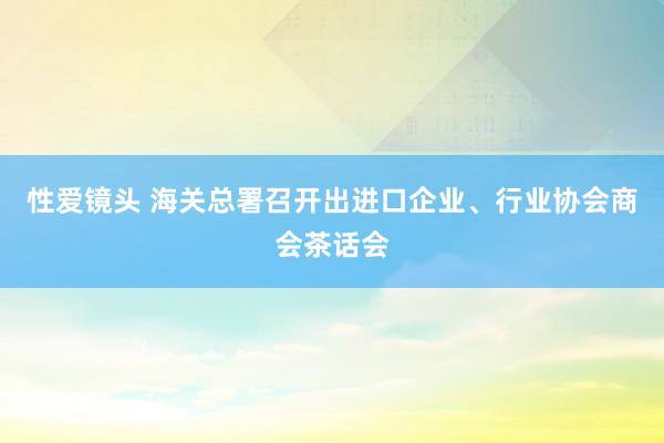 性爱镜头 海关总署召开出进口企业、行业协会商会茶话会