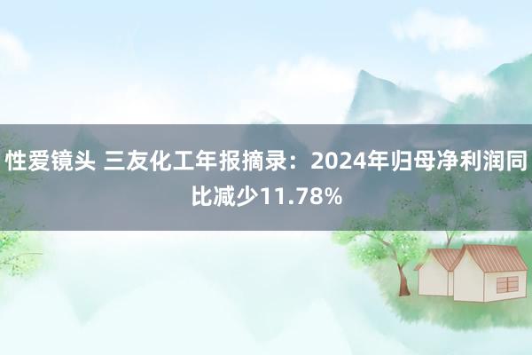 性爱镜头 三友化工年报摘录：2024年归母净利润同比减少11.78%