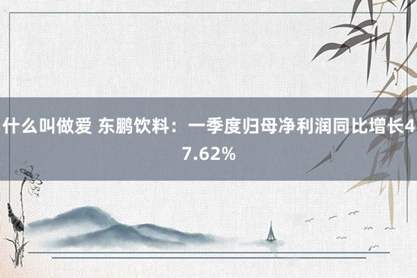 什么叫做爱 东鹏饮料：一季度归母净利润同比增长47.62%