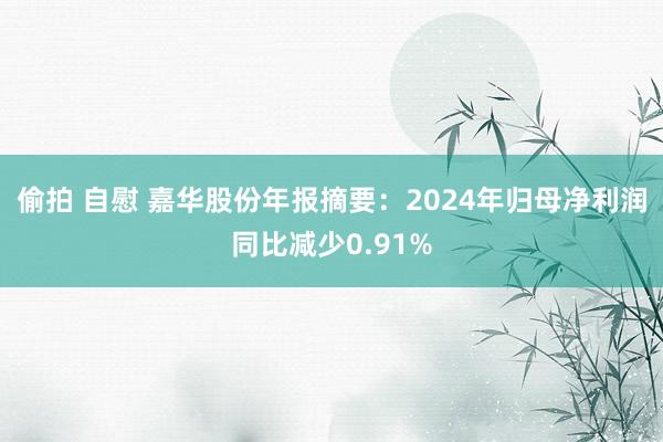 偷拍 自慰 嘉华股份年报摘要：2024年归母净利润同比减少0.91%