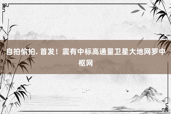 自拍偷拍. 首发！震有中标高通量卫星大地网罗中枢网