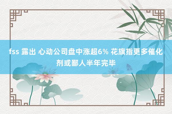 fss 露出 心动公司盘中涨超6% 花旗指更多催化剂或鄙人半年完毕
