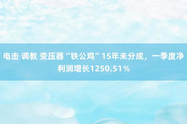 电击 调教 变压器“铁公鸡”15年未分成，一季度净利润增长1250.51％