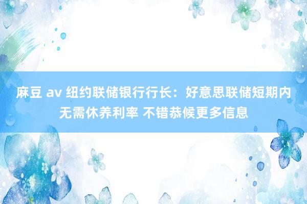 麻豆 av 纽约联储银行行长：好意思联储短期内无需休养利率 不错恭候更多信息