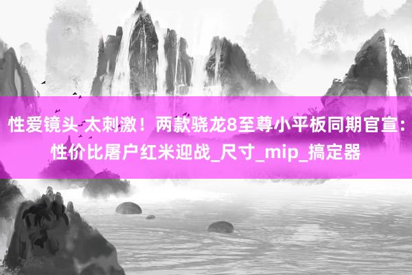 性爱镜头 太刺激！两款骁龙8至尊小平板同期官宣：性价比屠户红米迎战_尺寸_mip_搞定器