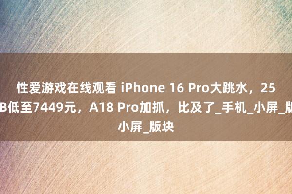 性爱游戏在线观看 iPhone 16 Pro大跳水，256GB低至7449元，A18 Pro加抓，比及了_手机_小屏_版块