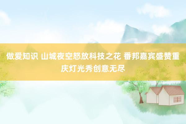 做爱知识 山城夜空怒放科技之花 番邦嘉宾盛赞重庆灯光秀创意无尽