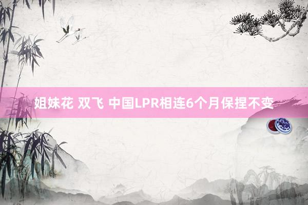 姐妹花 双飞 中国LPR相连6个月保捏不变