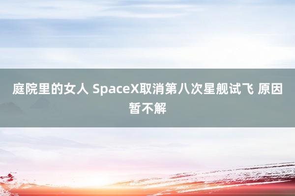 庭院里的女人 SpaceX取消第八次星舰试飞 原因暂不解