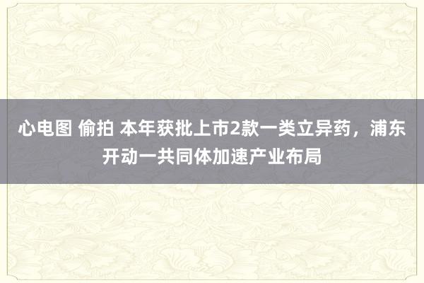心电图 偷拍 本年获批上市2款一类立异药，浦东开动一共同体加速产业布局