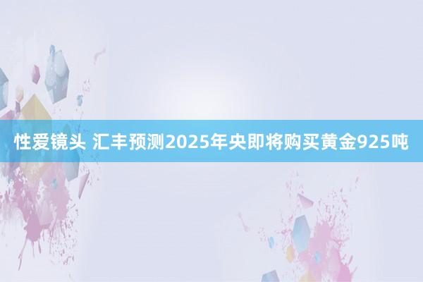 性爱镜头 汇丰预测2025年央即将购买黄金925吨