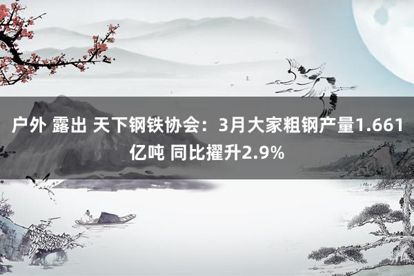 户外 露出 天下钢铁协会：3月大家粗钢产量1.661亿吨 同比擢升2.9%