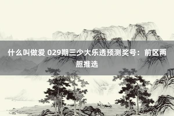 什么叫做爱 029期三少大乐透预测奖号：前区两胆推选
